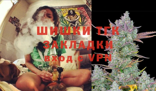 прущие грибы Балахна