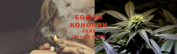 прущие грибы Балахна