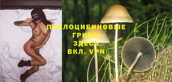 a pvp Балабаново