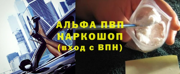 прущие грибы Балахна