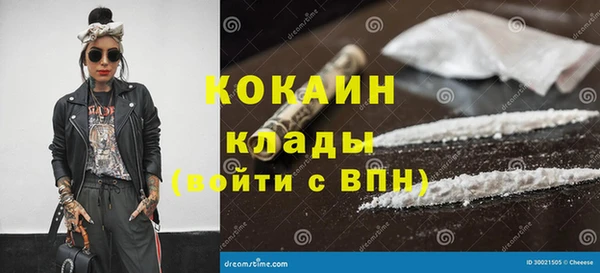 прущие грибы Балахна