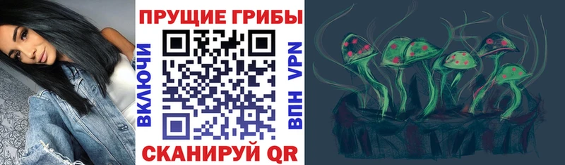 как найти   Котельниково  mega ссылки  Галлюциногенные грибы Psilocybine cubensis 